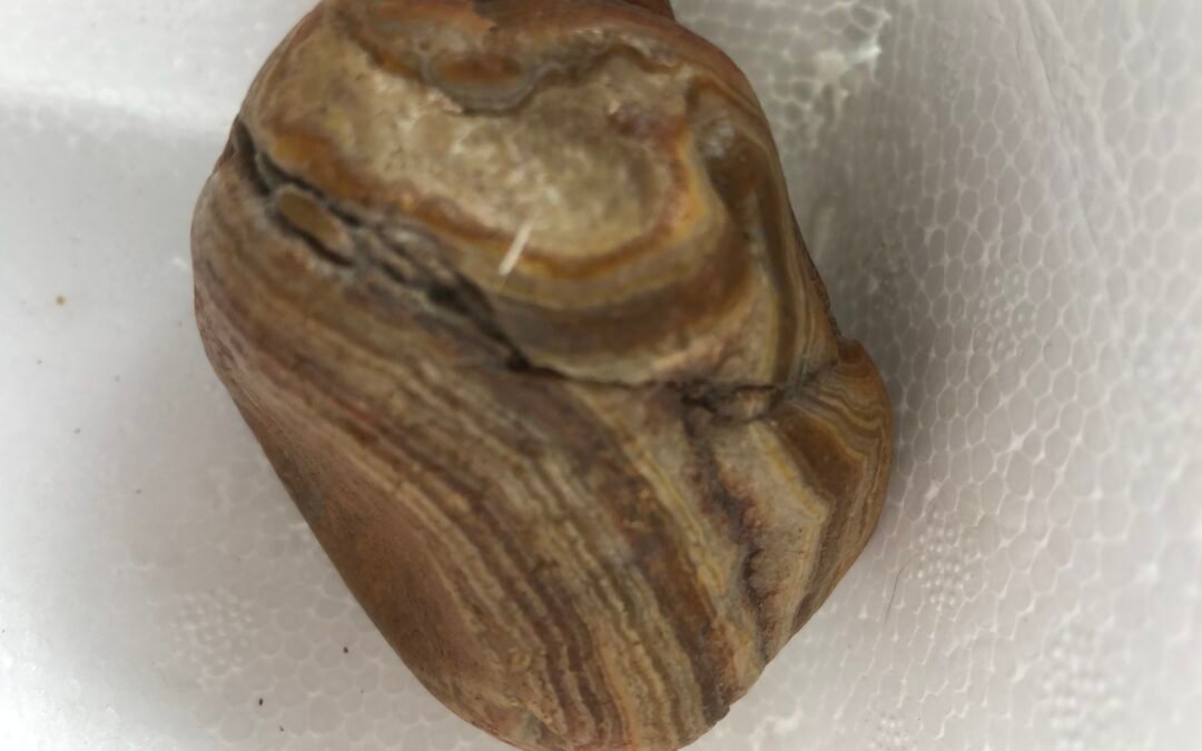 FEMALE TOTMEIC STONE 2