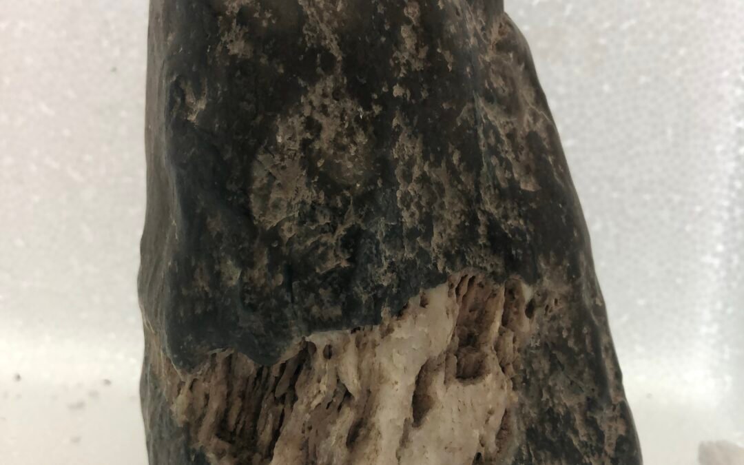 JADEITE HAMMER HEAD