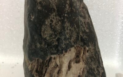 JADEITE HAMMER HEAD