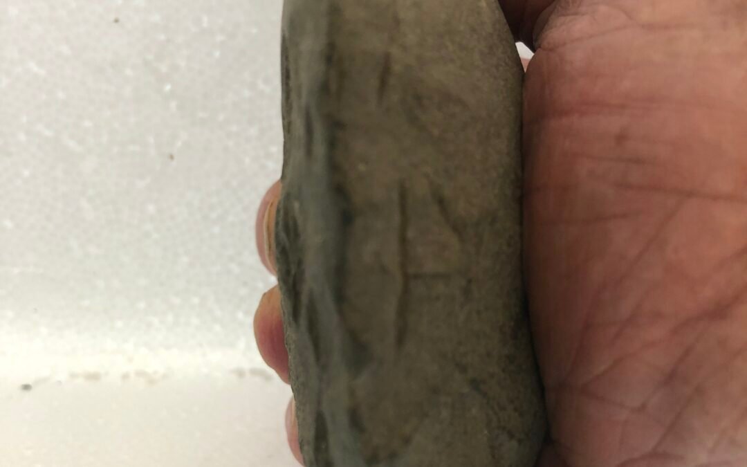 POLISHED GREENSTONE AXE HEAD