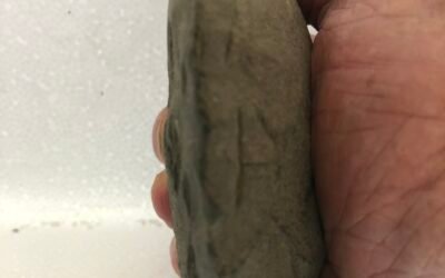 POLISHED GREENSTONE AXE HEAD