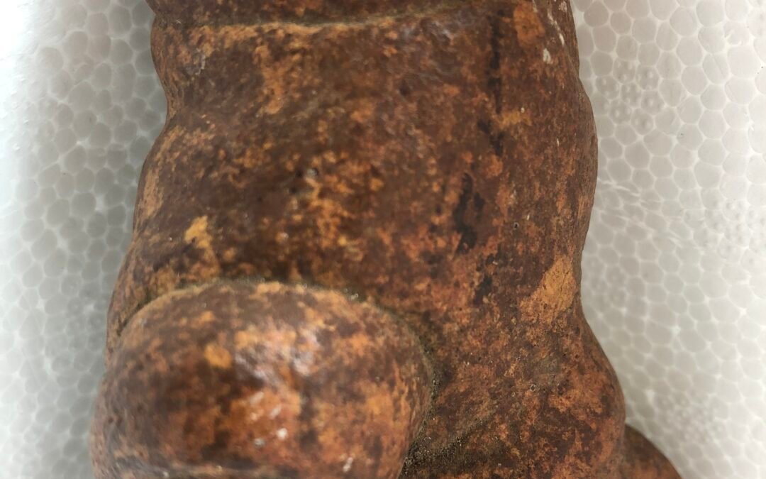 TOTEMIC FOSSIL