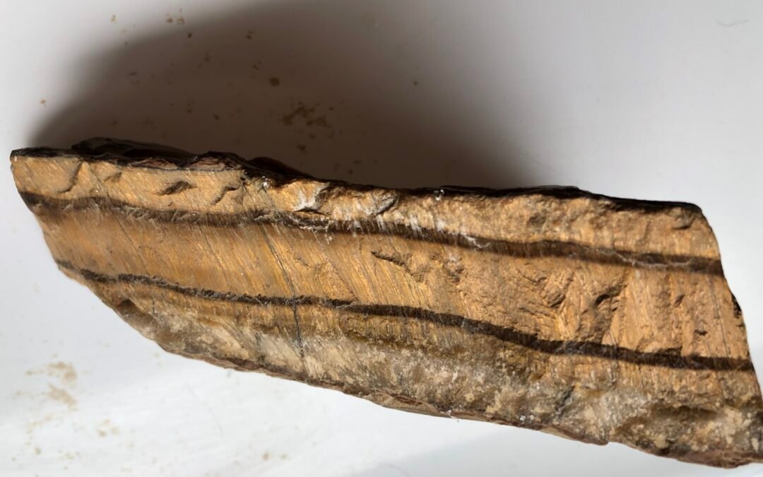 TIGERS EYE TIMBER NOTCHING TOOL