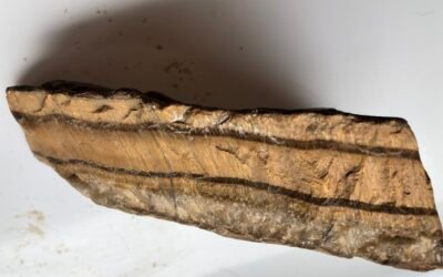 TIGERS EYE TIMBER NOTCHING TOOL