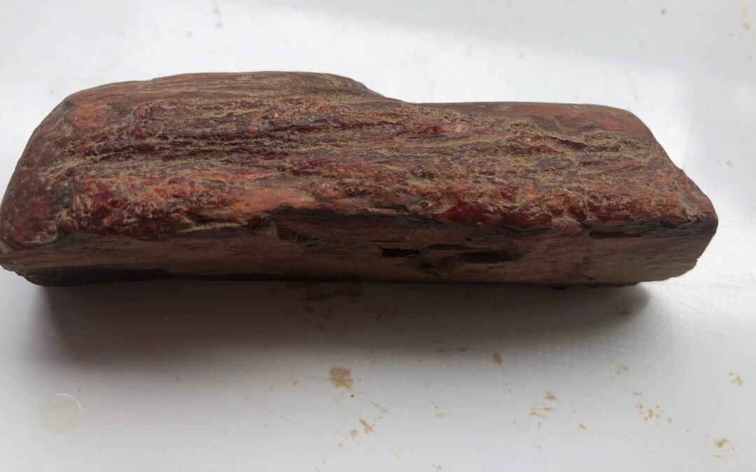PETRIFEIED WOOD WOOD WORKING TOOL