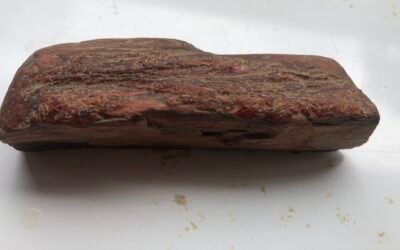 PETRIFEIED WOOD WOOD WORKING TOOL