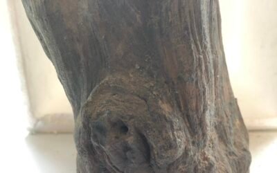 CLASSIC IRONSTONE PETRIFIED WOOD