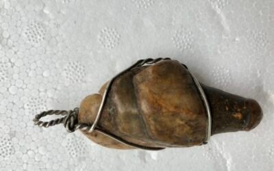TURTLE AMULET