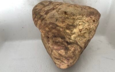 POSSIBLE CORPRALITE ARTIFACT