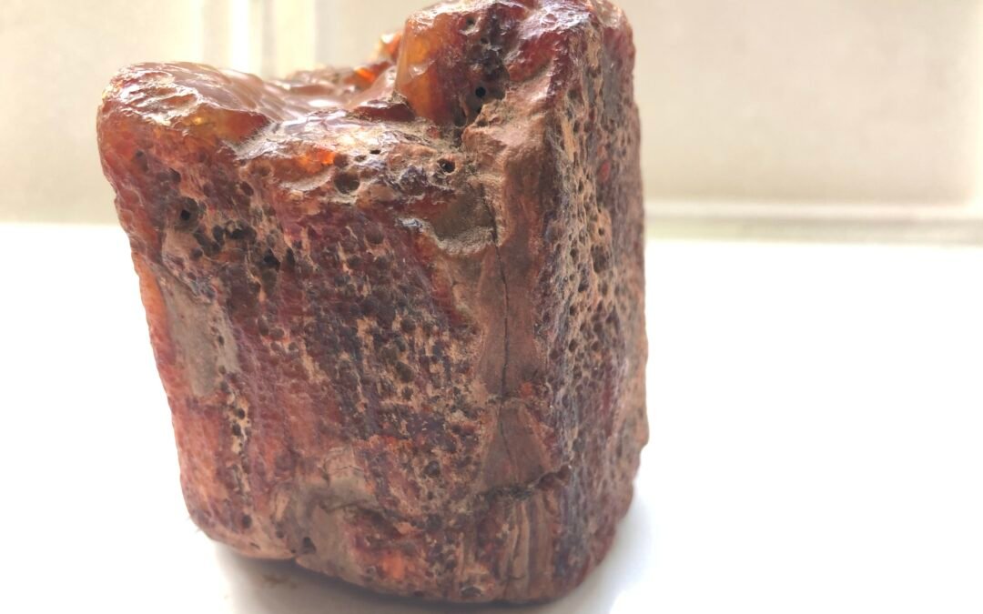 CARNIELIAN PETRIFIED WOOD