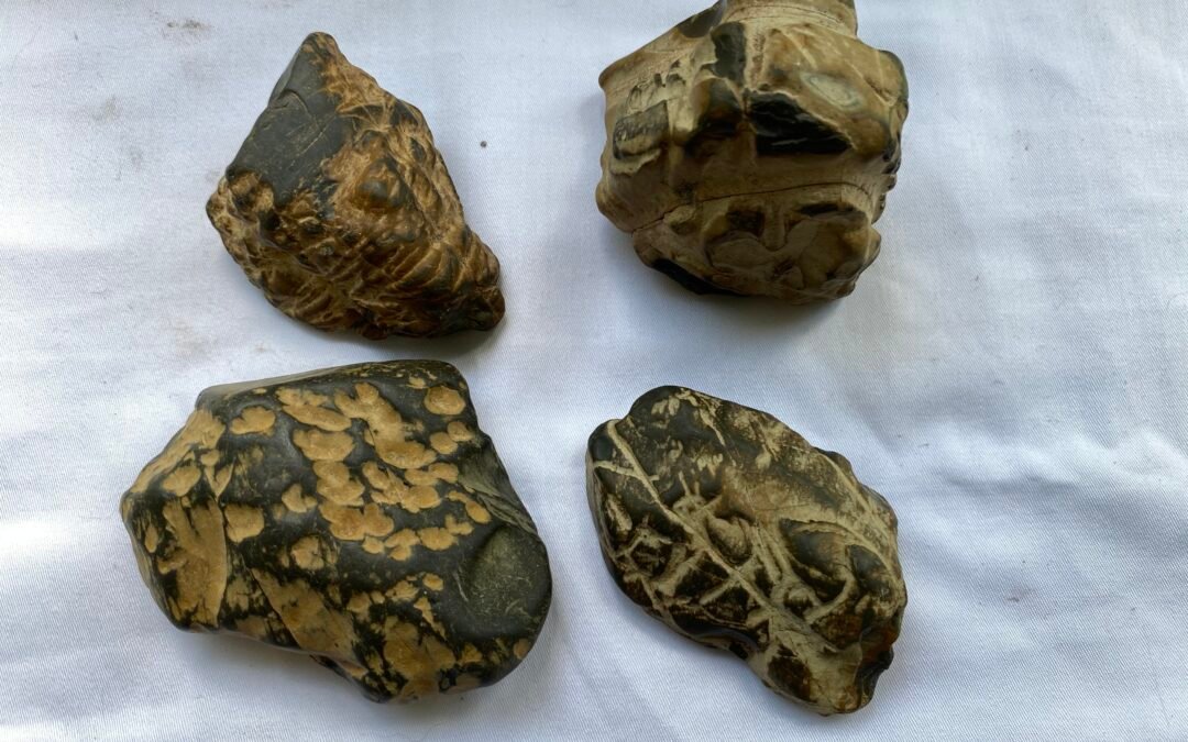 INTERESTING STONES