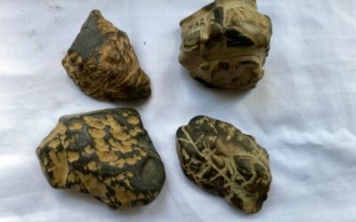 INTERESTING STONES