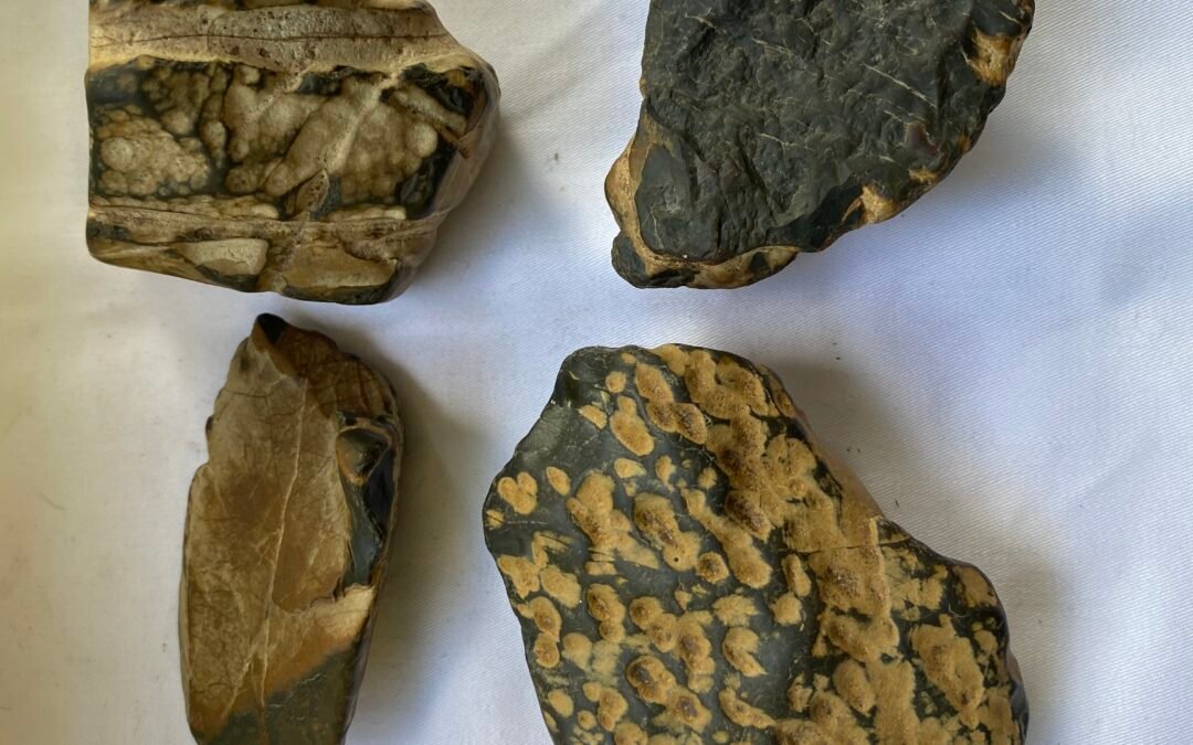 INTERESTING STONES 4b