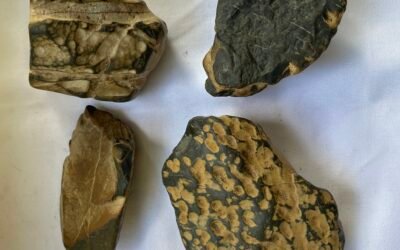 INTERESTING STONES 4b