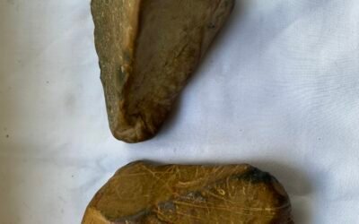 INTERESTING STONES 11